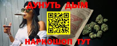 гашик Кинель