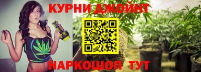 гашик Кинель