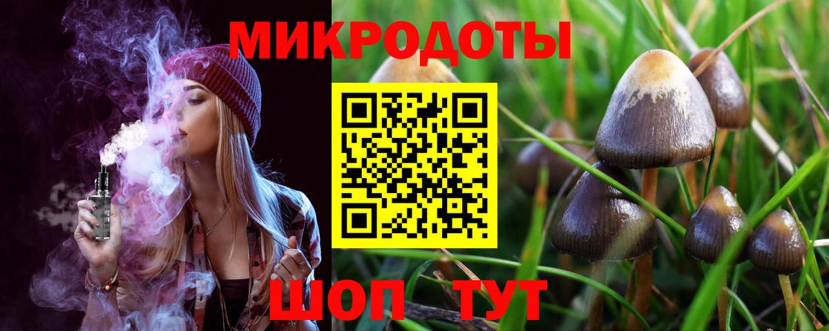 Галлюциногенные грибы Psilocybe  Вход с VPN  Звенигород 